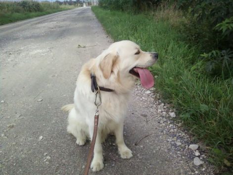 p09-09-10_16.34.jpg